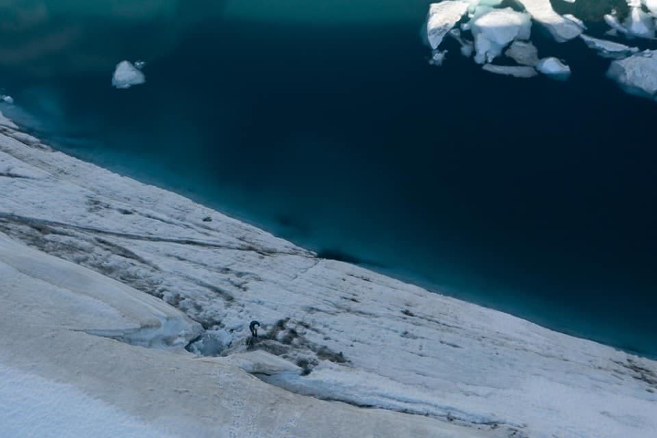 Glacier slope descending to turquoise sea, coastal glacier vista