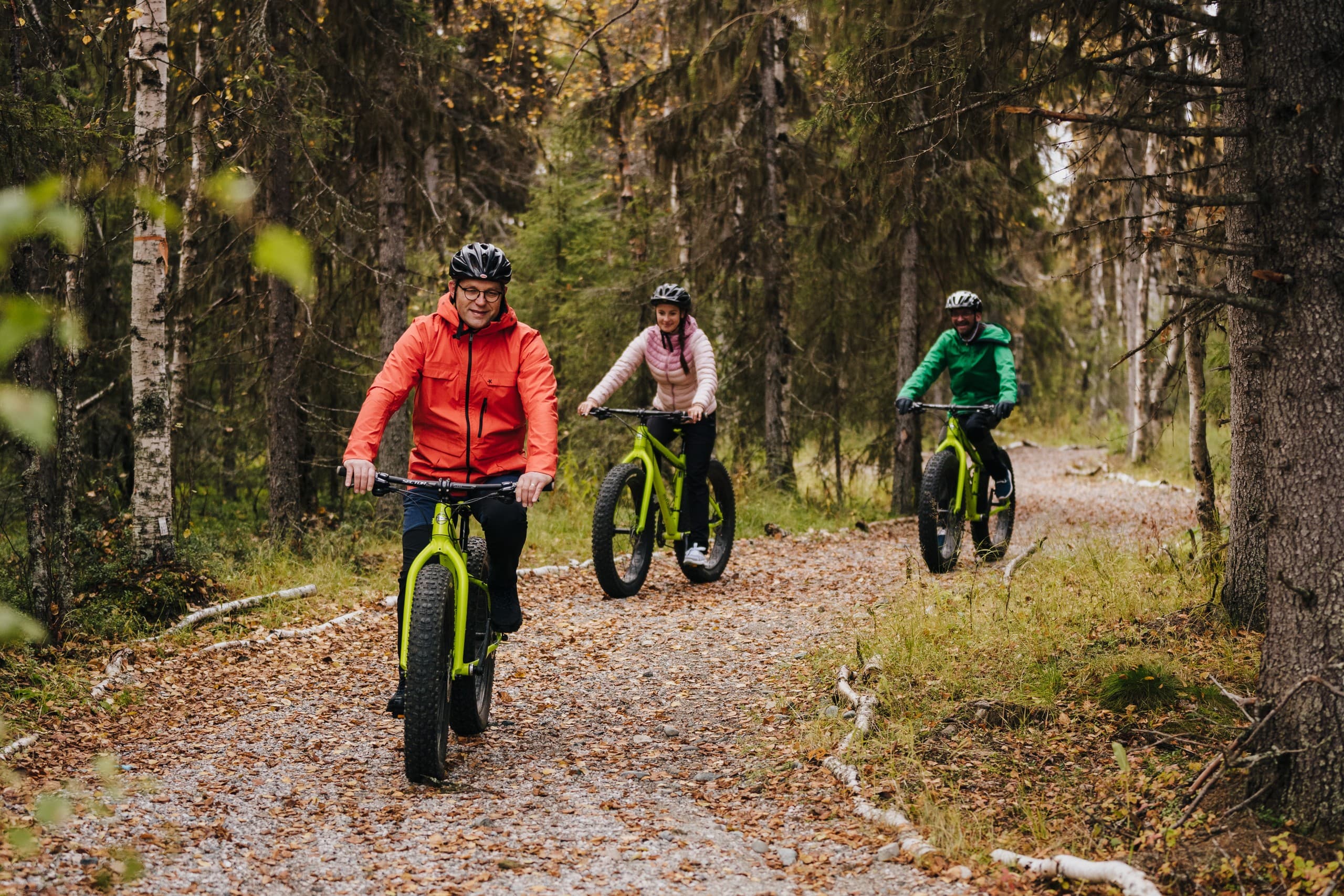 E-Fatbike Through Lapland: Reindeer Trails Tour in Sirkka Lappi photo 2