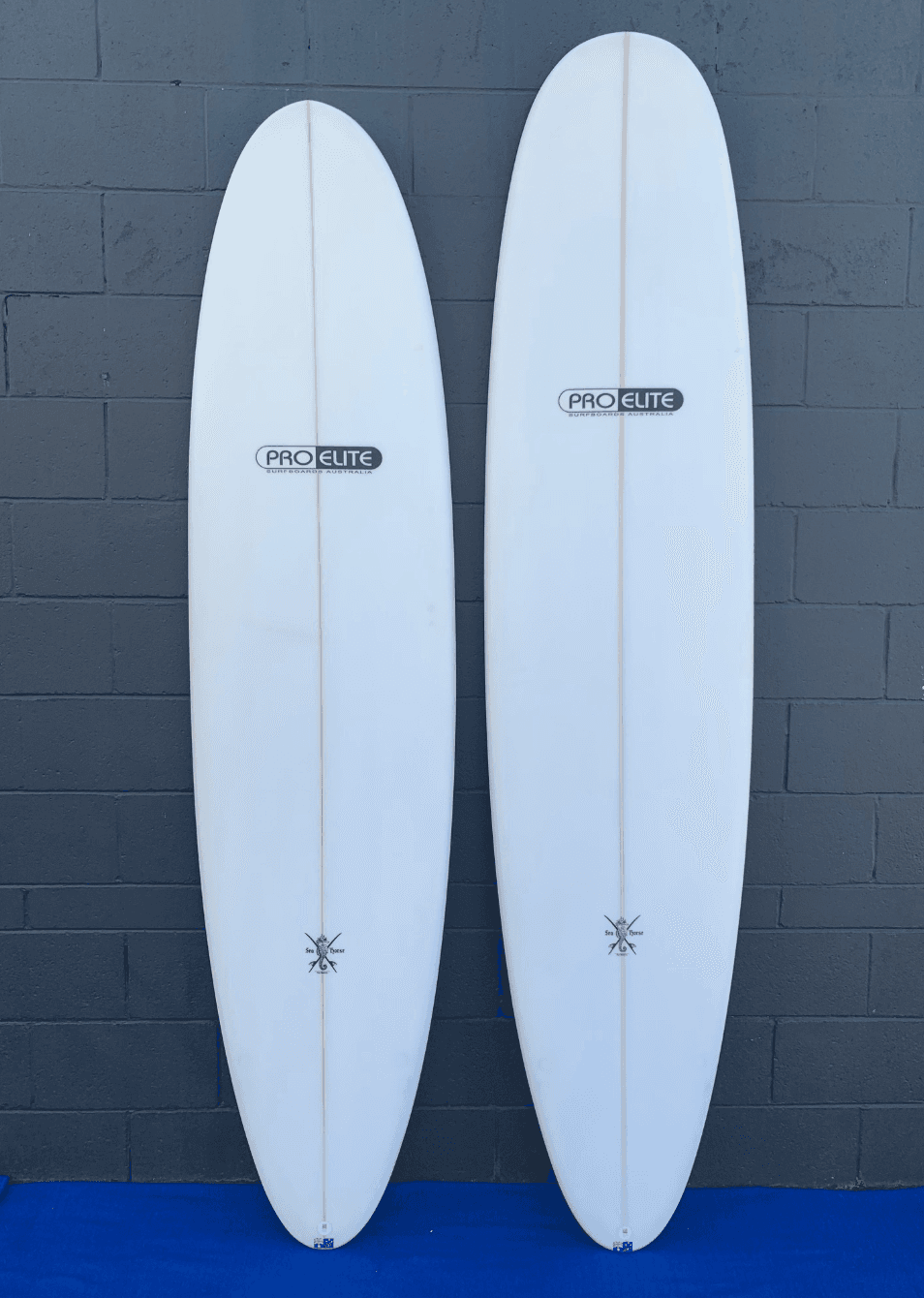 Surfing Adventures with Mini Mals at Gold Coast