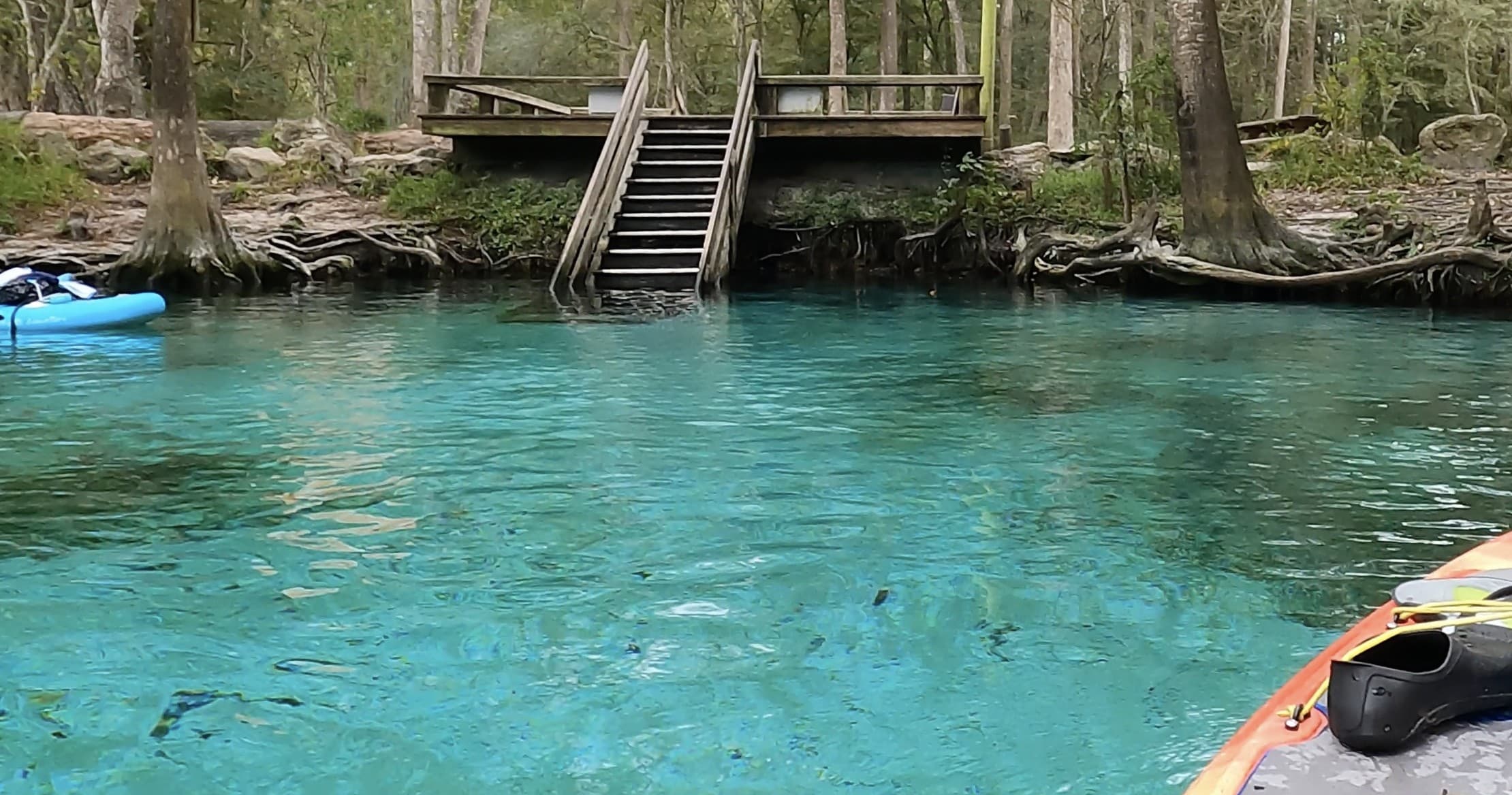 Paddle 8 Springs in 8 Miles: Santa Fe River Downriver from Poe Springs photo 1