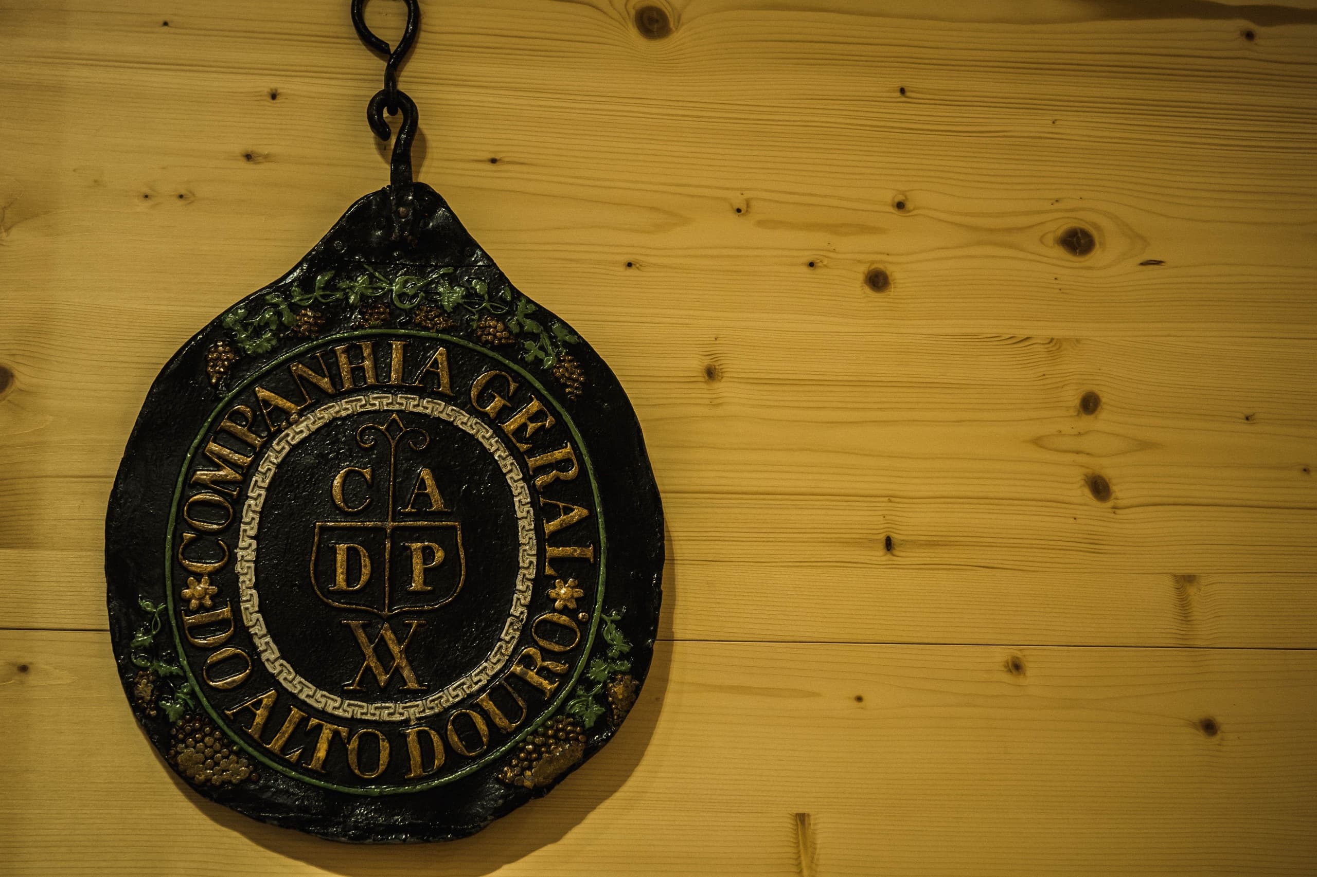 Wine Tasting & Museum Tour at Museu do Douro