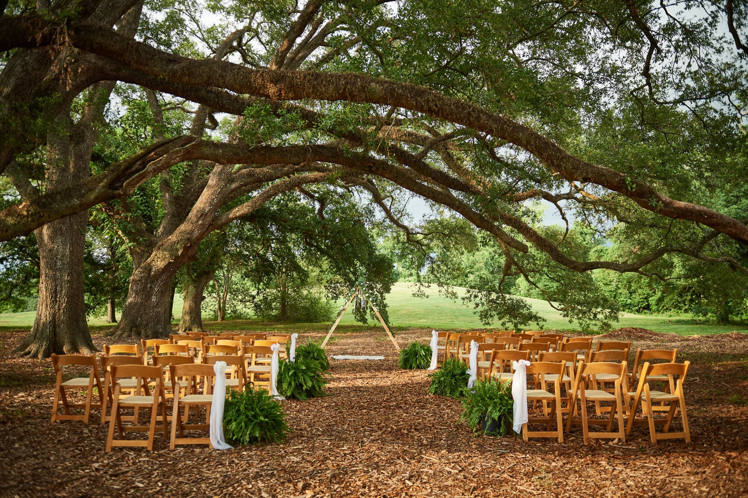 Outdoor Wedding at Moncus Park: An Intimate Celebration