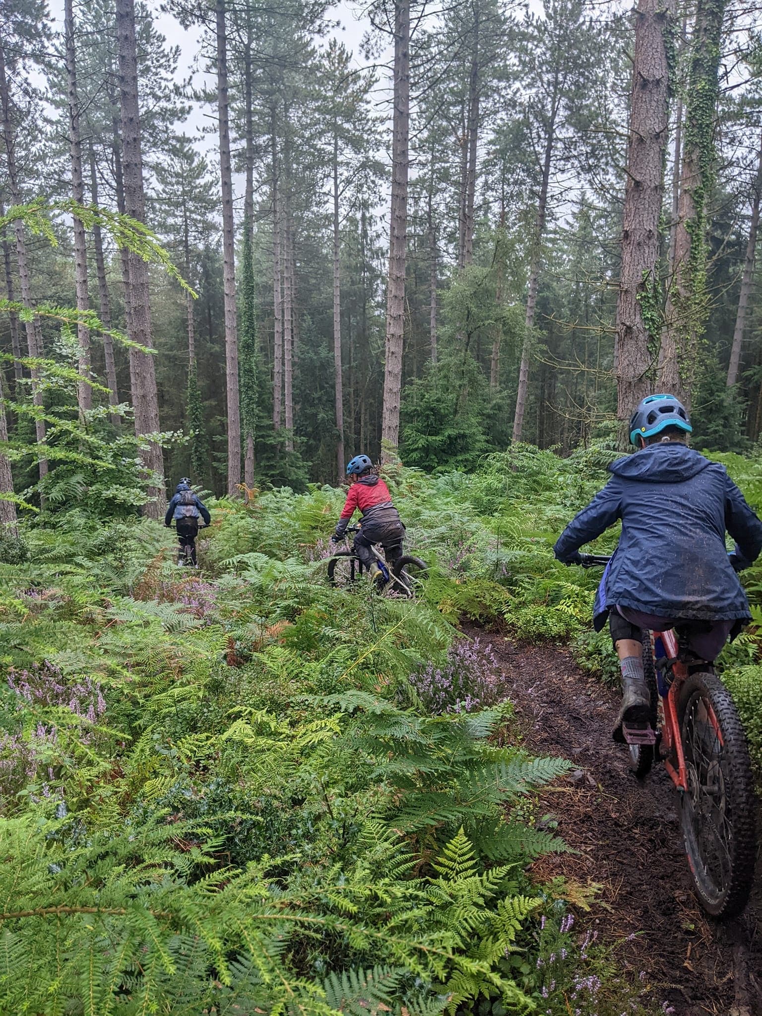 Young Riders Mountain Biking Sessions Near Minehead and Dunster: Fun Outdoor Skills for Ages 5-7