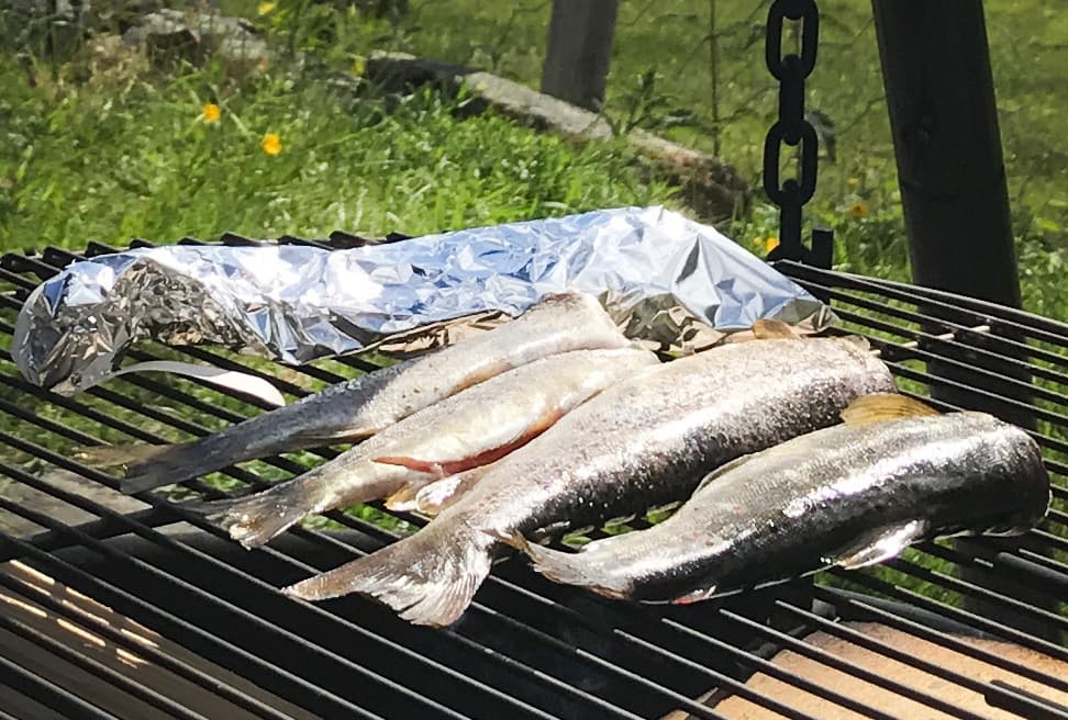 Freshly caught trout grilling over open fire at campsite