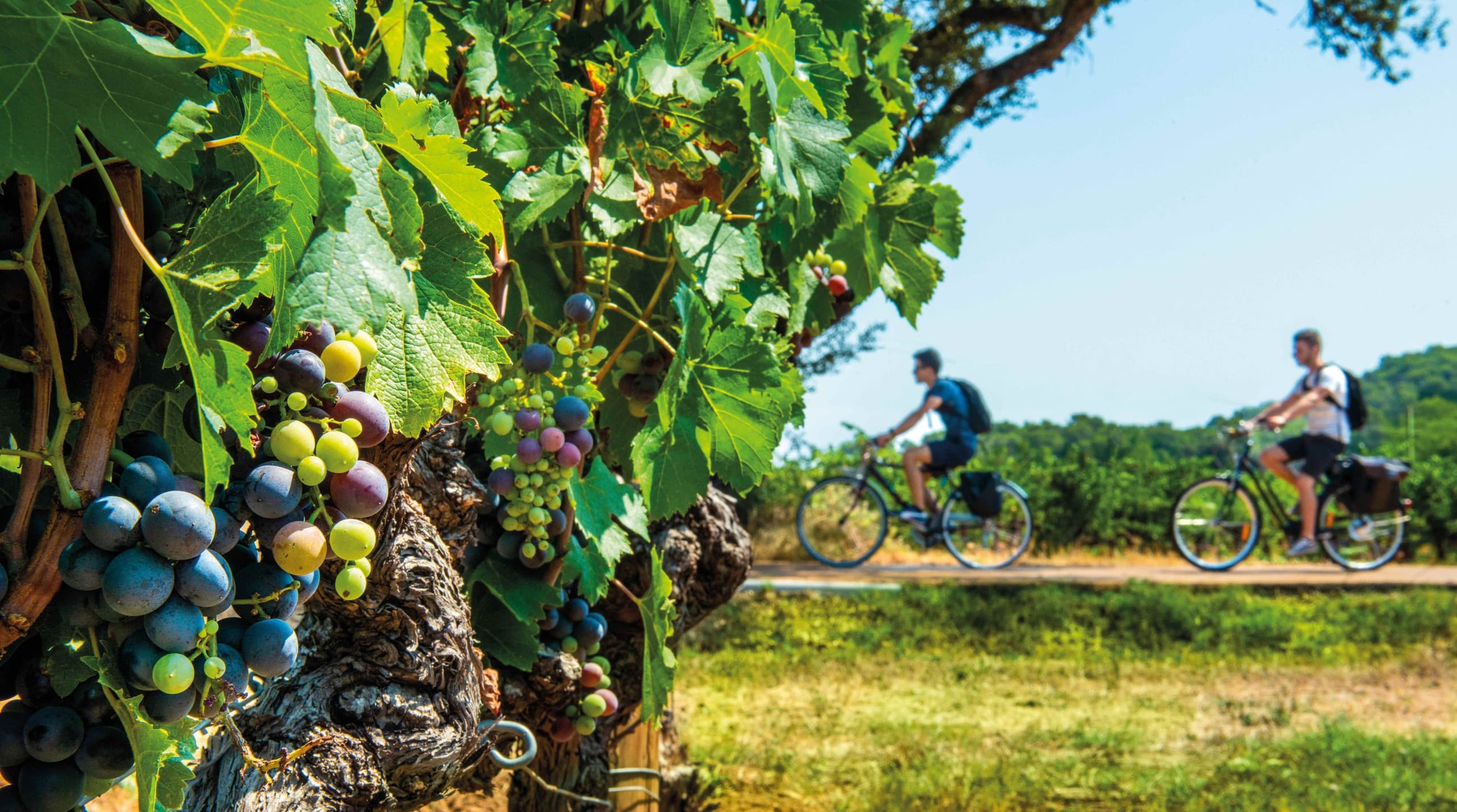 E-Bike Tours in Haut-Var with Natur'Evasion
