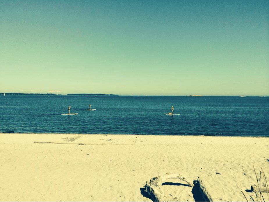 Willows Beach Paddleboard Rental