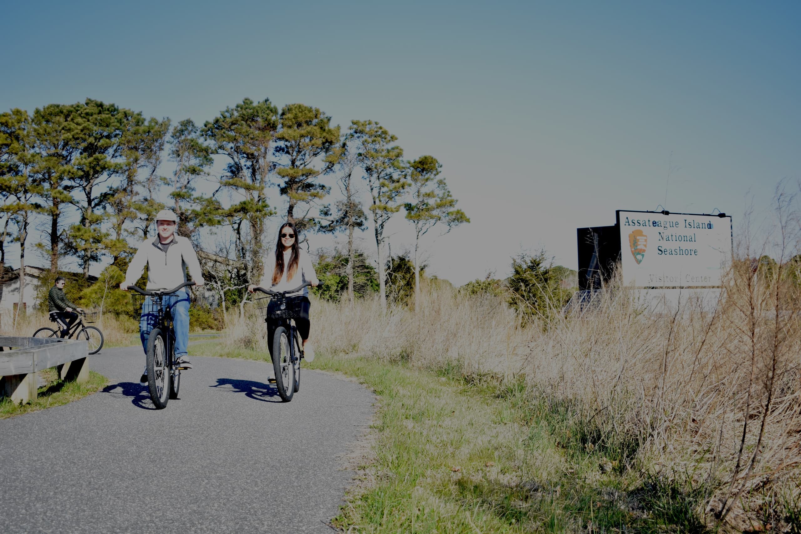 Two Hour Bike Rental at Assateague Island, Maryland photo 1