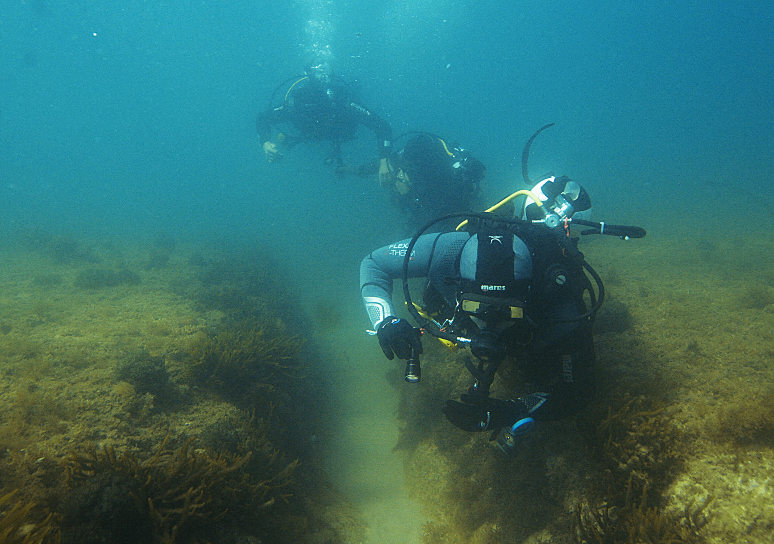 Scuba Diving Adventure with We Dive in Coastal Waters