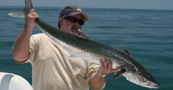 Water Activities with Six Chuter Charters: Nearshore & Backwater Adventure