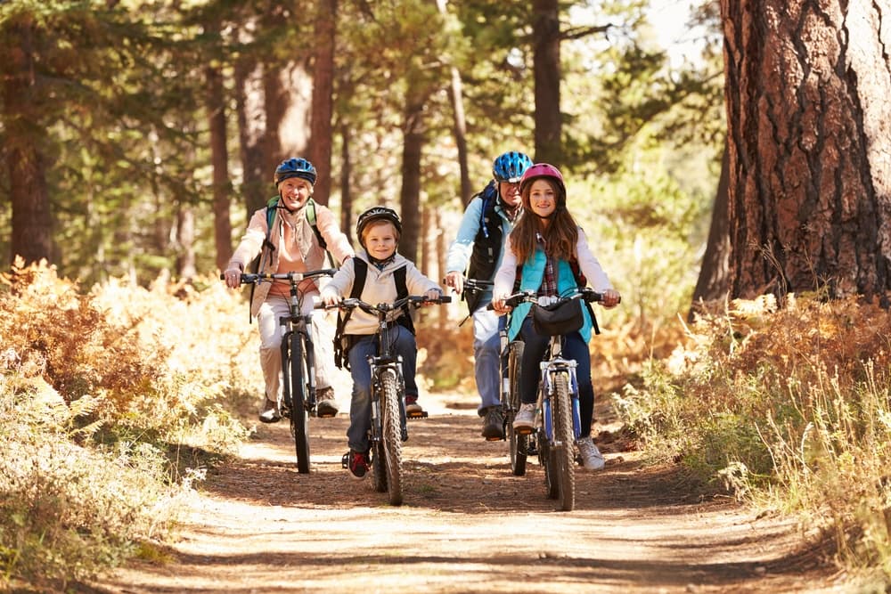 Family mountain biking on sunny forest trail with pine trees