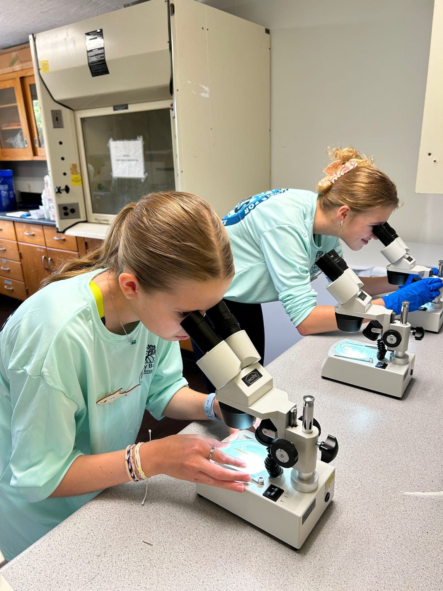 Explore Marine Science at Rookery Bay Research Reserve: A Summer Adventure for Teens