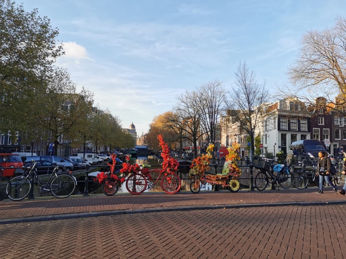 Land Adventure: Discover Amsterdam's Historic Charm with Amsterdam in a Million