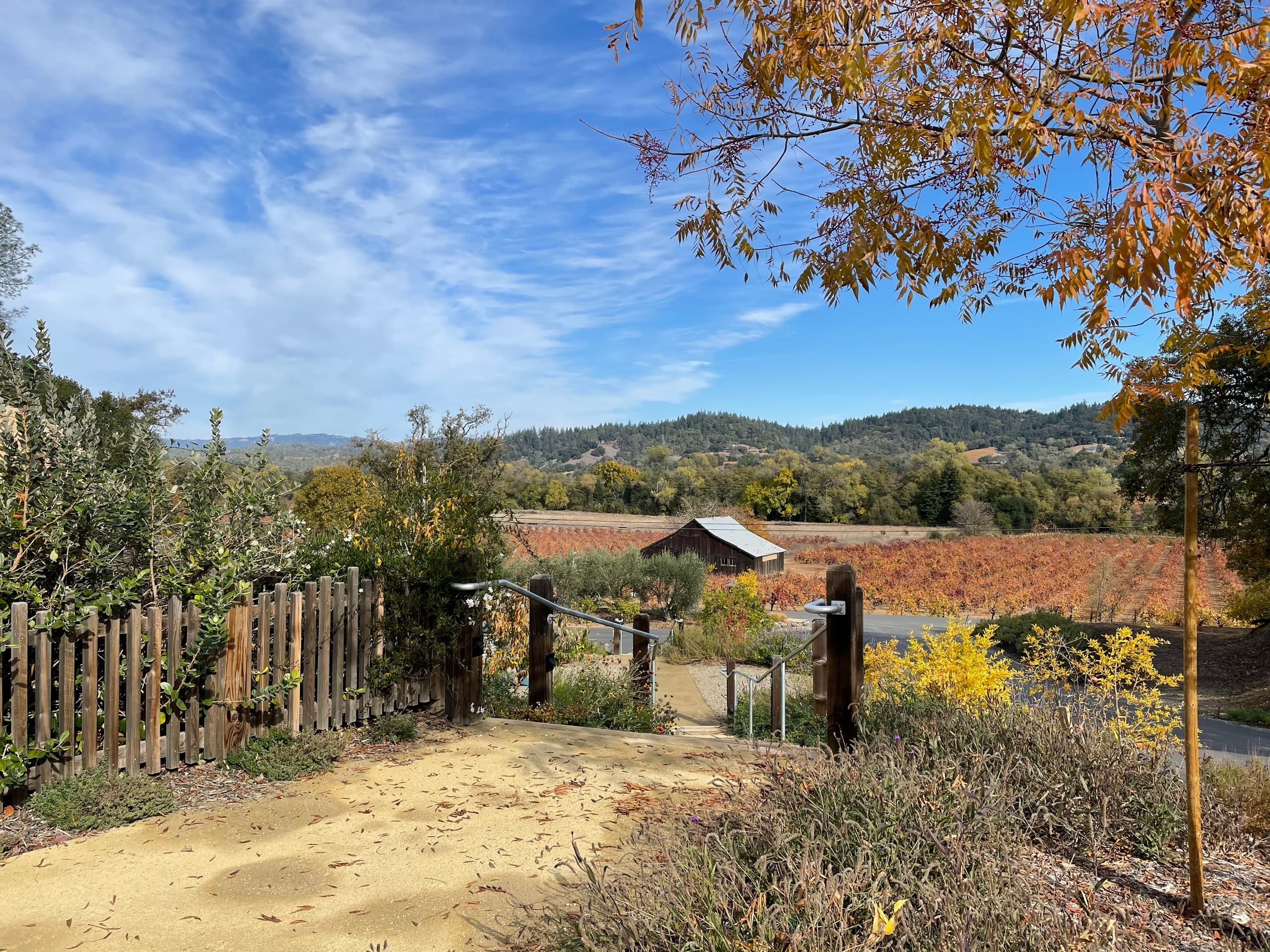 Sonoma Wine Tour with Napatac - Vacaville, California