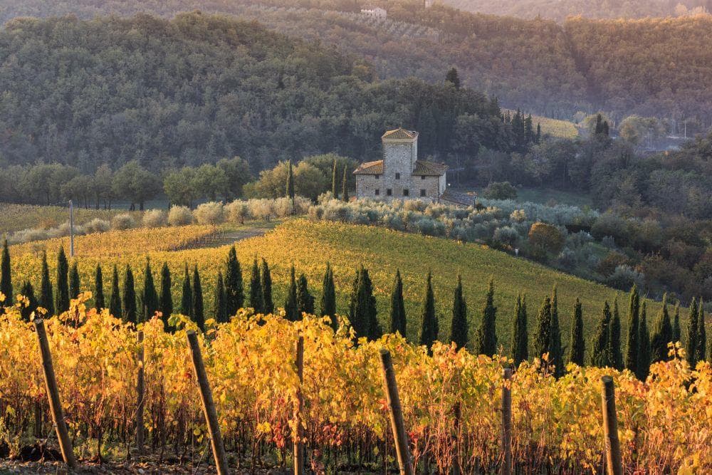 Wine Tasting & Florence Highlights with Exploro Tours