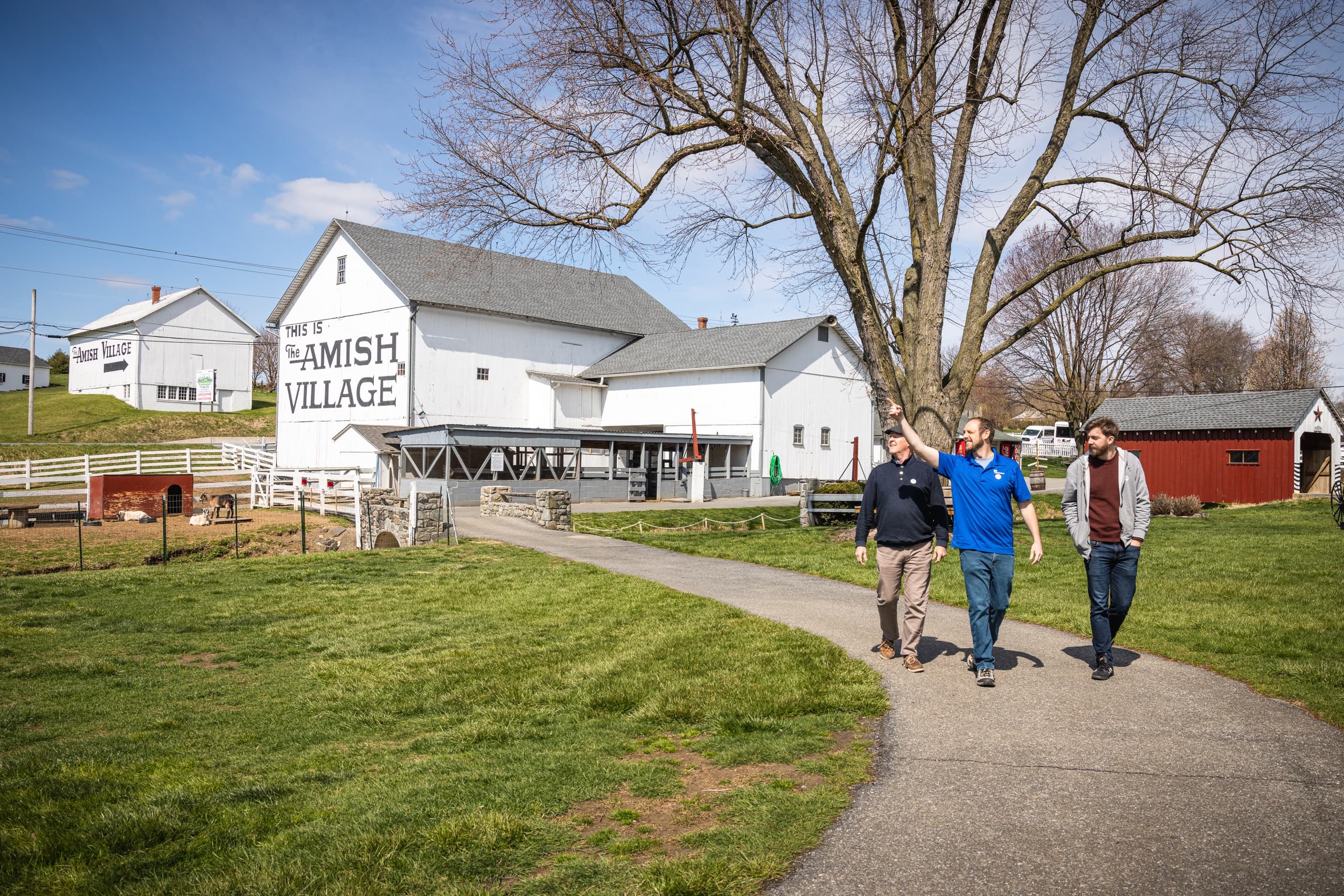 Explore Amish Country: A Day Tour from Philadelphia