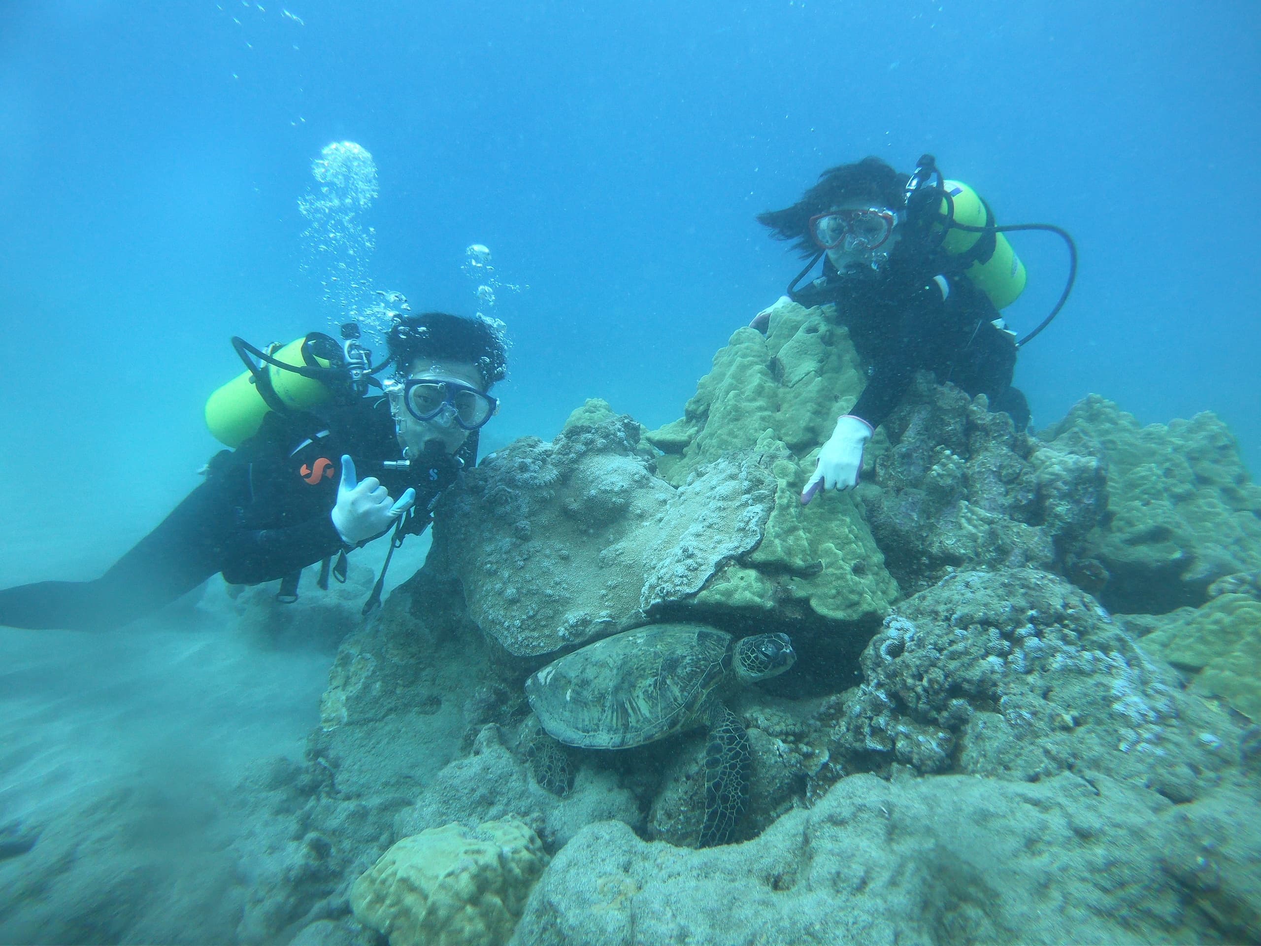 Water Activities at Hanauma Bay with Hau'oli Ocean Style