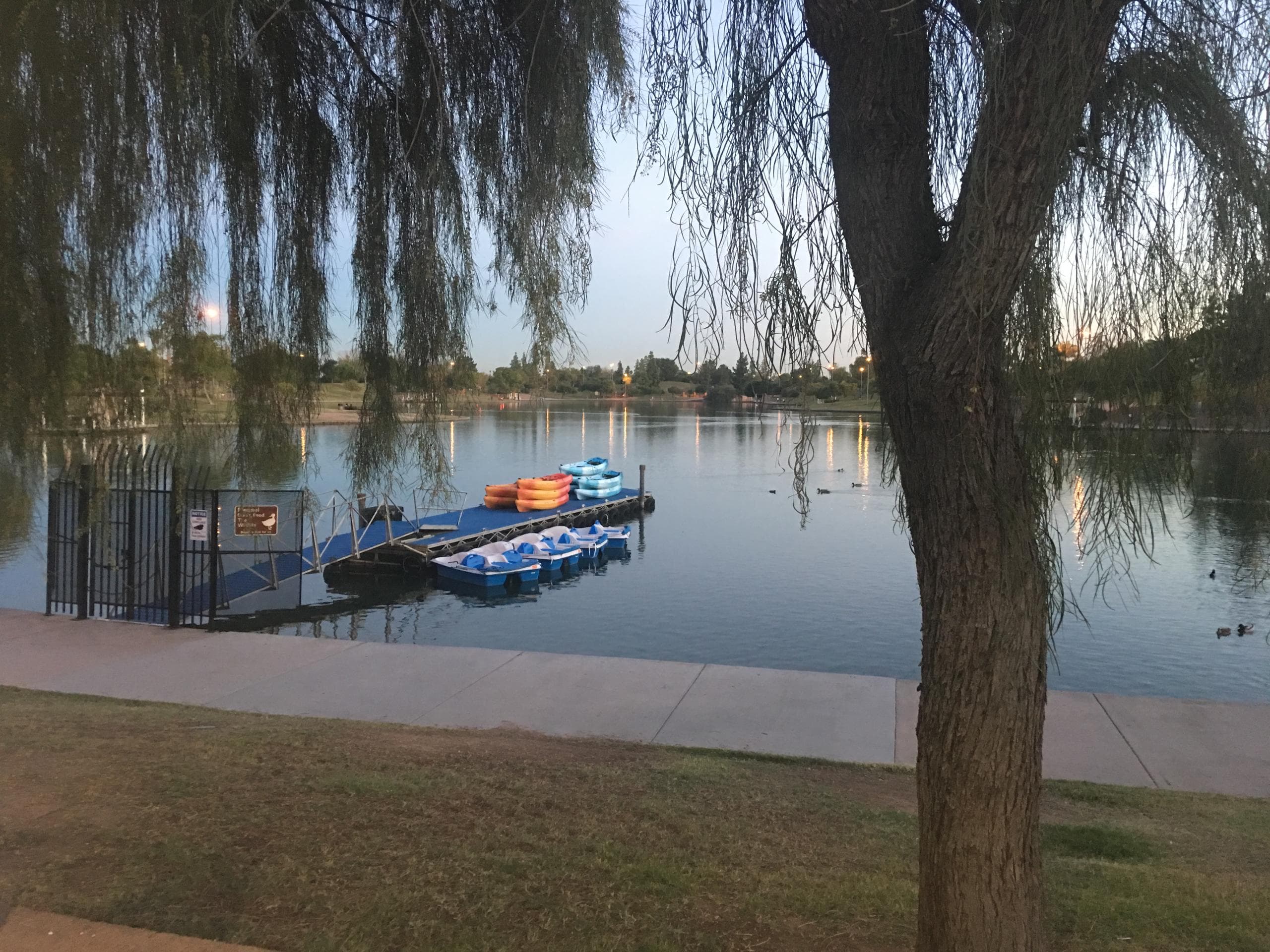 Explore Tempe’s Scenic Kiwanis Lake on a Double Surrey Bike Rental Adventure
