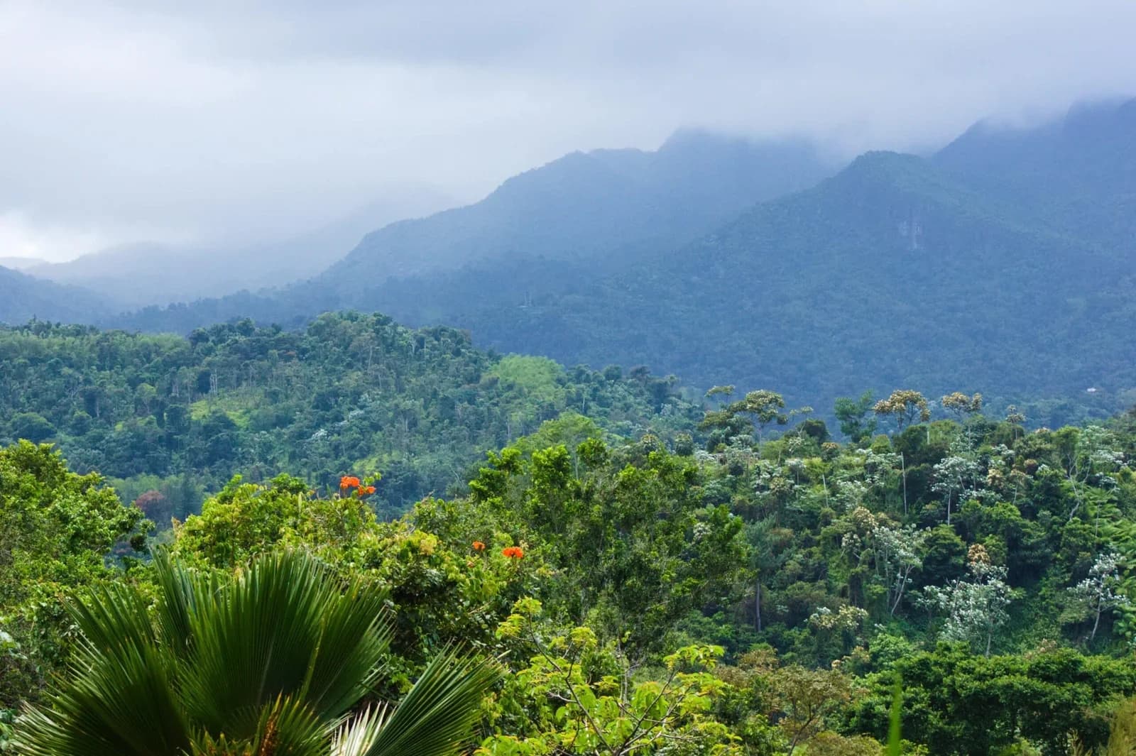 Hidden Waterslides & Waterfalls Near San Juan: All-Inclusive Puerto Rico Rainforest Adventure