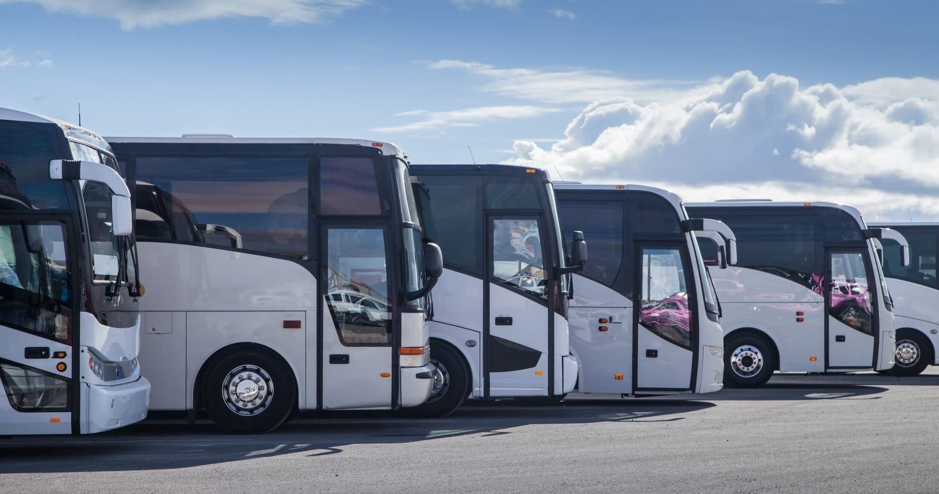 Luxury Coastal & Highlands Tour with Fly Miles Sydney