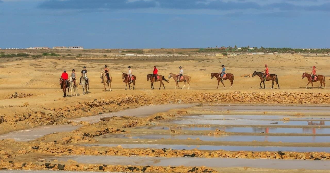 Salt Flats Horseback Ride with Cabo Verde Tours in Sal