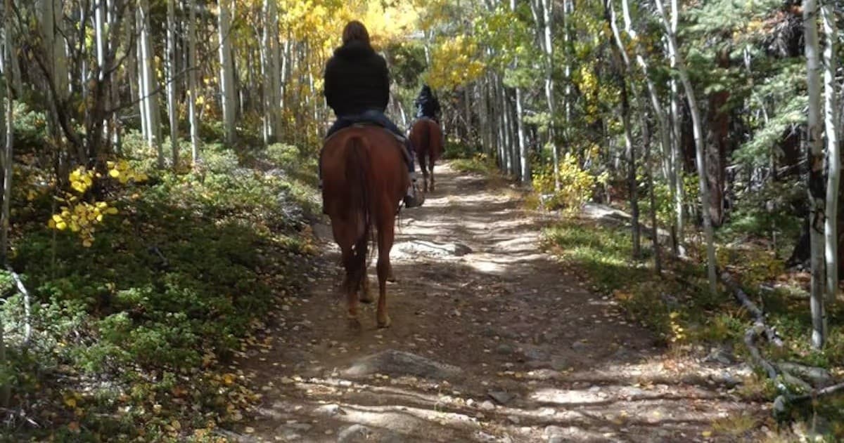 Experience a One Hour Ride Adventure in Central City, Colorado