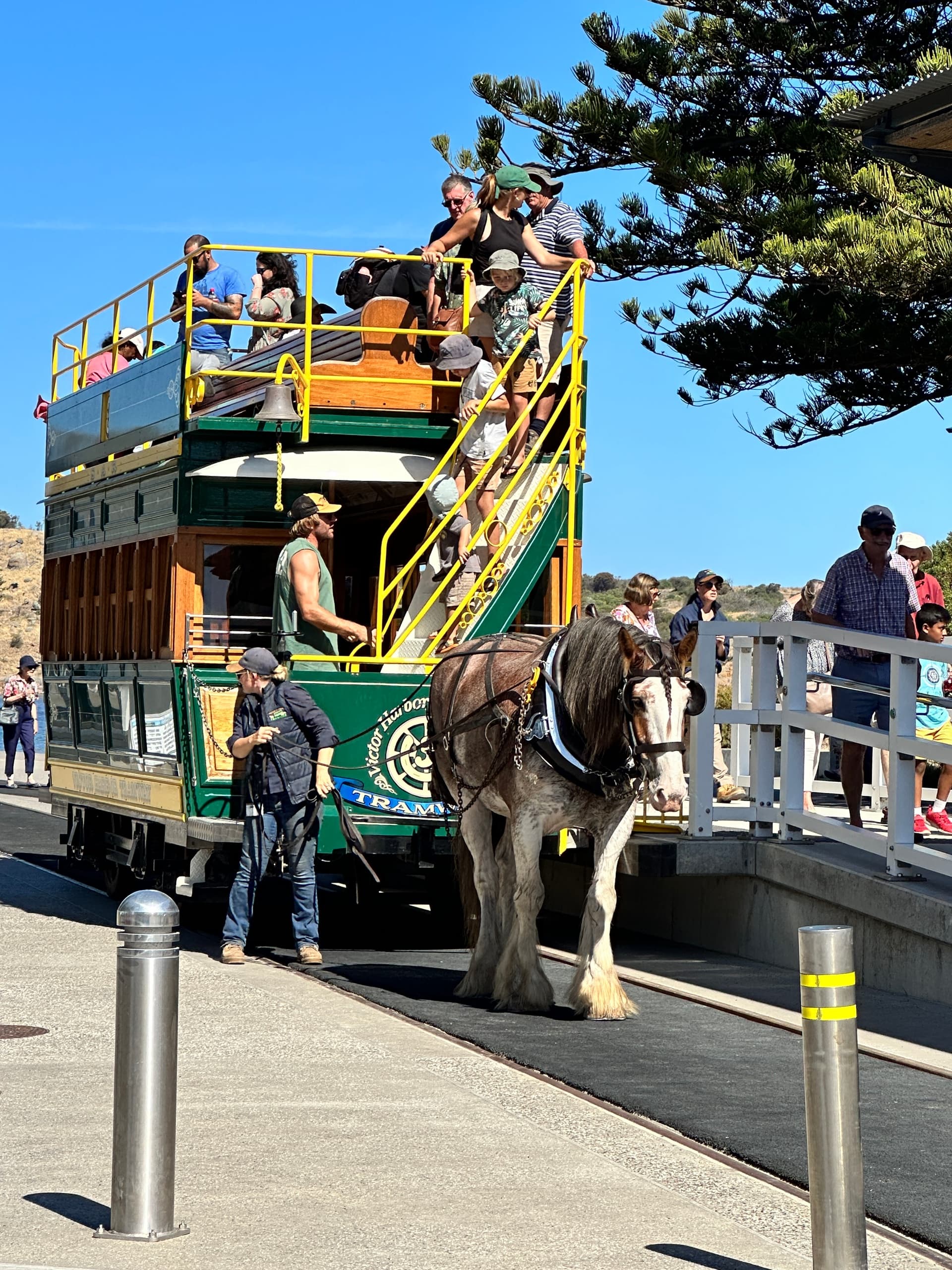 Land Adventures with BOS Tours in Adelaide Hills & Victor Harbor