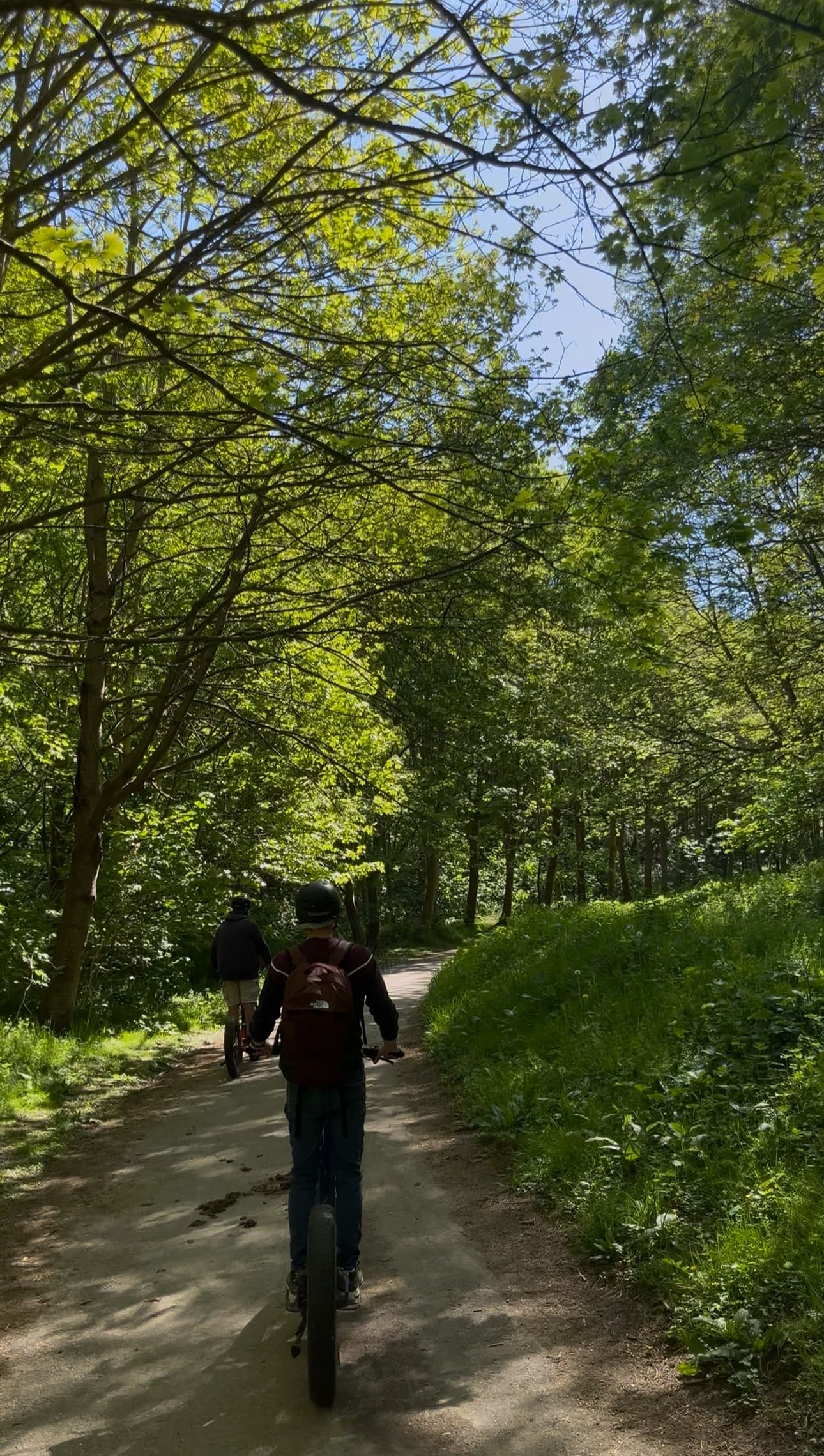 Cyclist pedaling down shaded forest path through leafy woodland