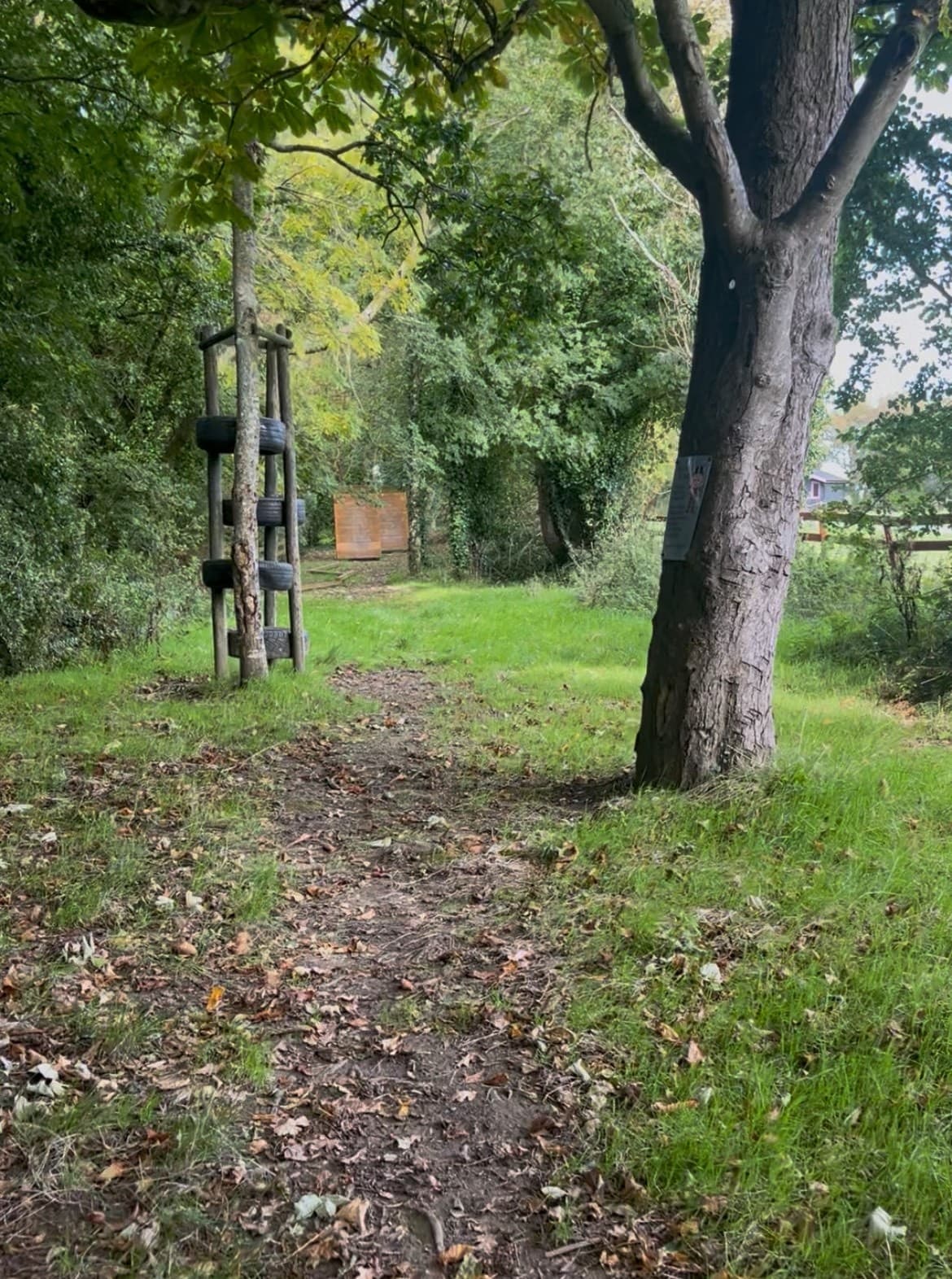 What3Words Trail at IOAC: Self-Led Navigation Adventure in County Wexford