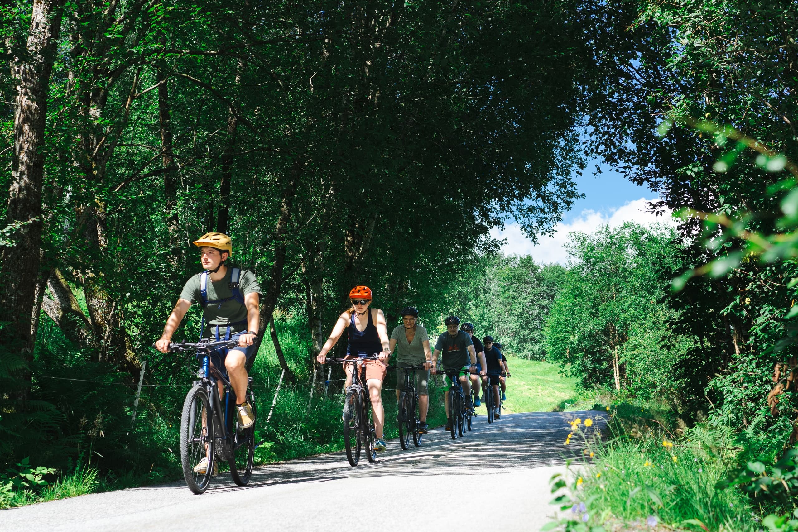 Guided E-Bike Tour with Nordic Nature Guide in Olden
