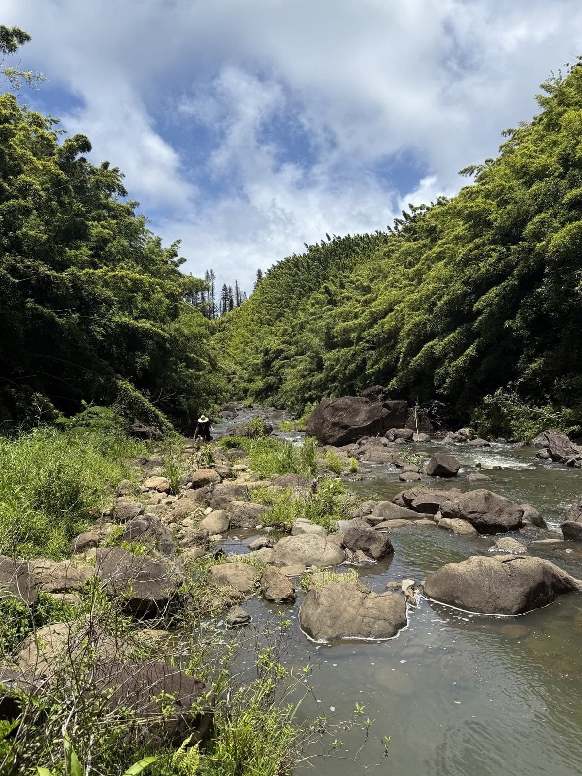 Maui Half-Day Private Island Tour: Hidden Beaches, Snorkel & Local Guides photo 1