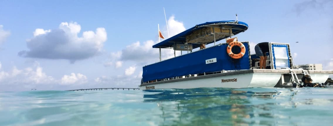 3-Hour Crab Island and Dolphin Cruise in Destin, FL