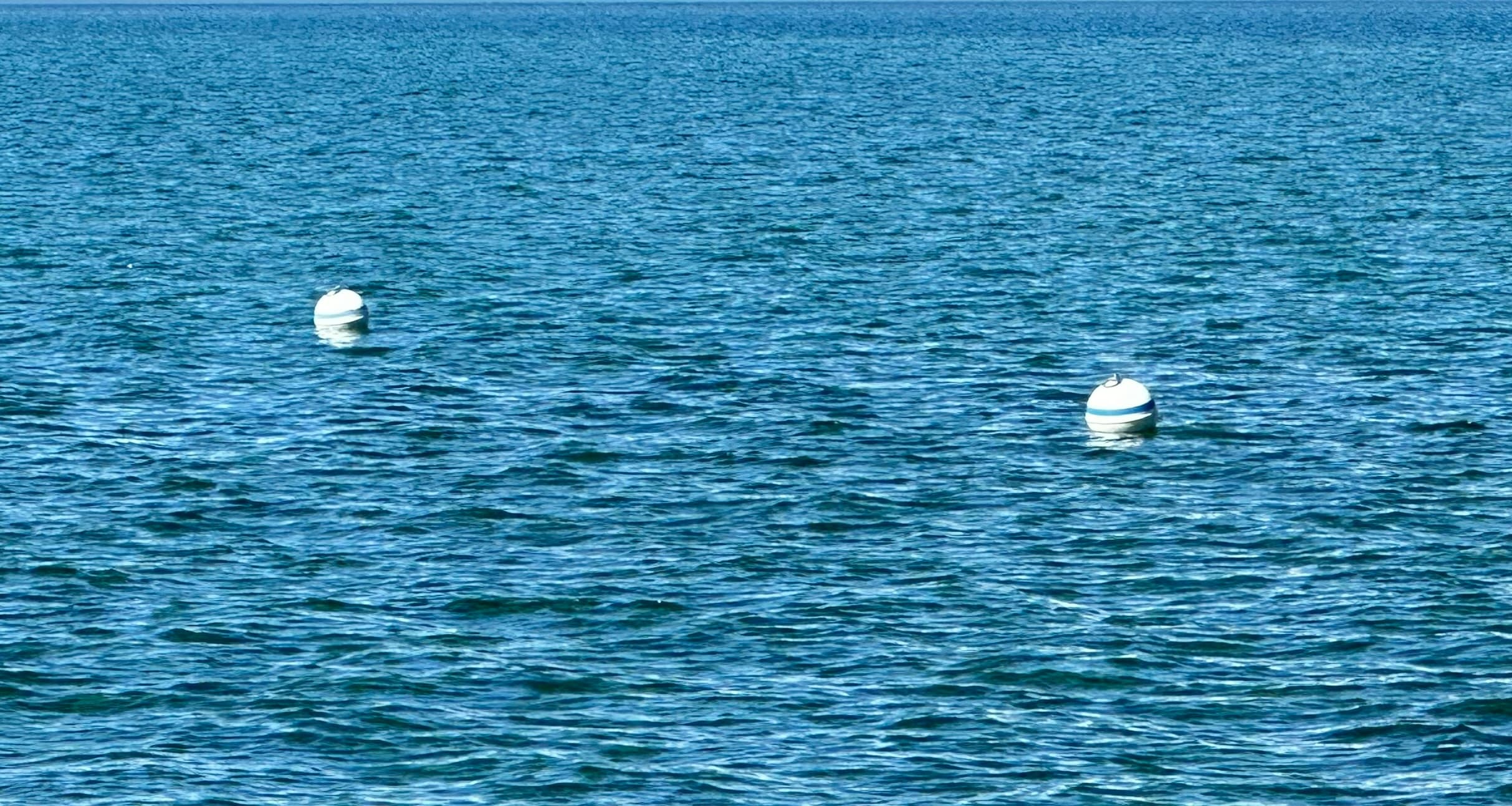 Mooring Buoy Rentals at Timber Cove Marina in South Lake Tahoe