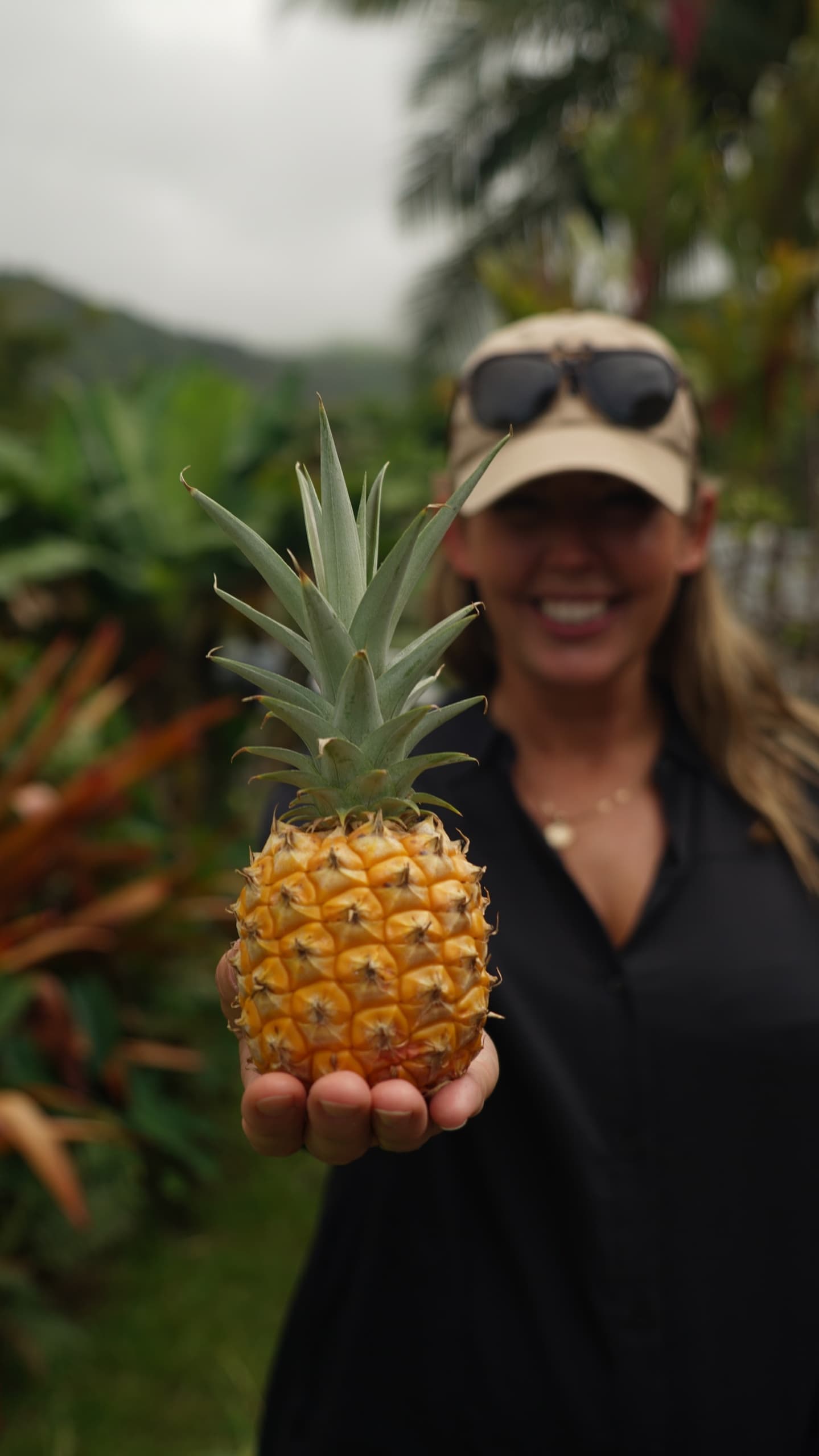 Private Road to Hana: Luxury Drive to Waterfalls, Black Sand Beaches, and Bamboo Groves photo 4