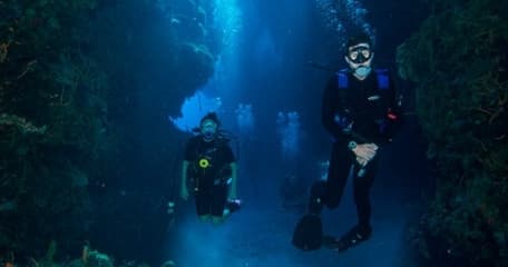 Open Water Referral Dives with Deep Life in Cancun
