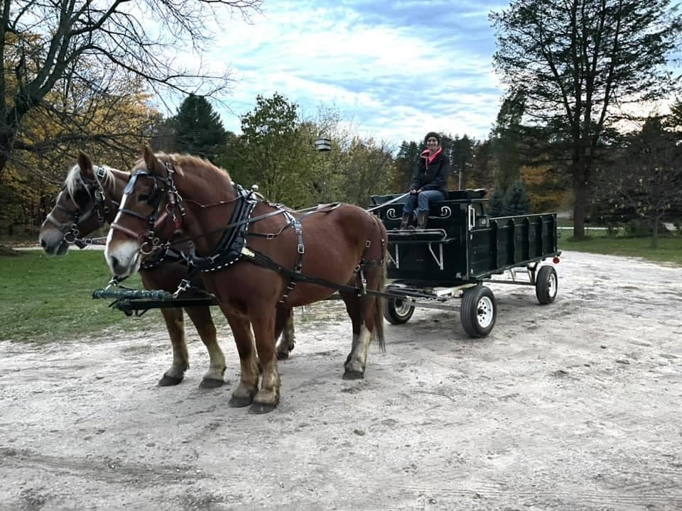 Scenic Wagon Ride Adventure in Manton, Michigan