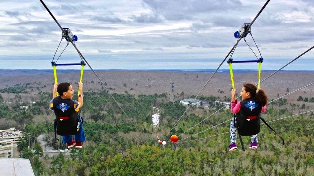 Two riders ziplining over forest canopy with distant horizon