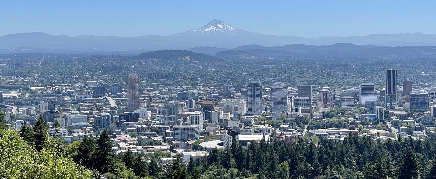 Forest Park Hiking Tour to Pittock Mansion in Portland