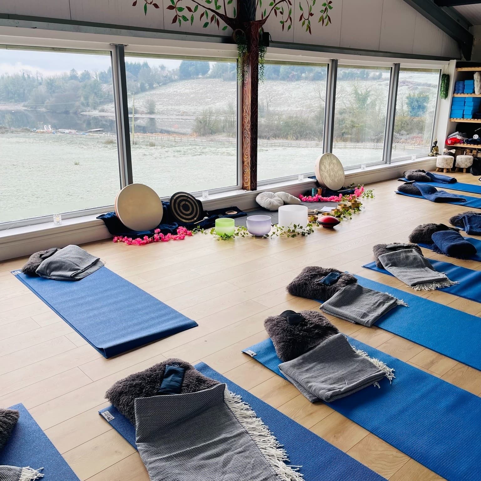 Summer Reset Day Retreat: Woodland Yoga, Cacao & Sauna in County Cavan photo 1