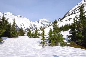 Snow-covered alpine valley with evergreen trees, Alaska hike