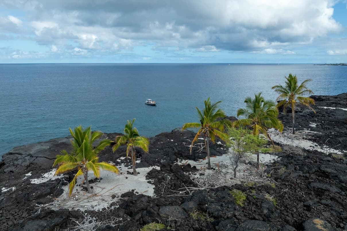 Aloha Ocean Excursions team