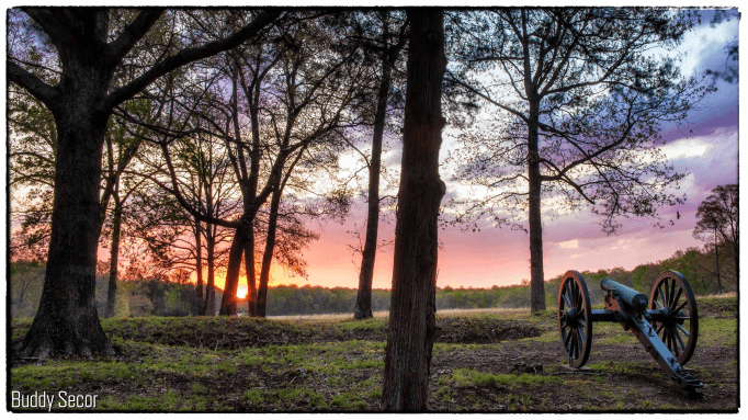 Sunset through pines with historic cannon on grassy ridge