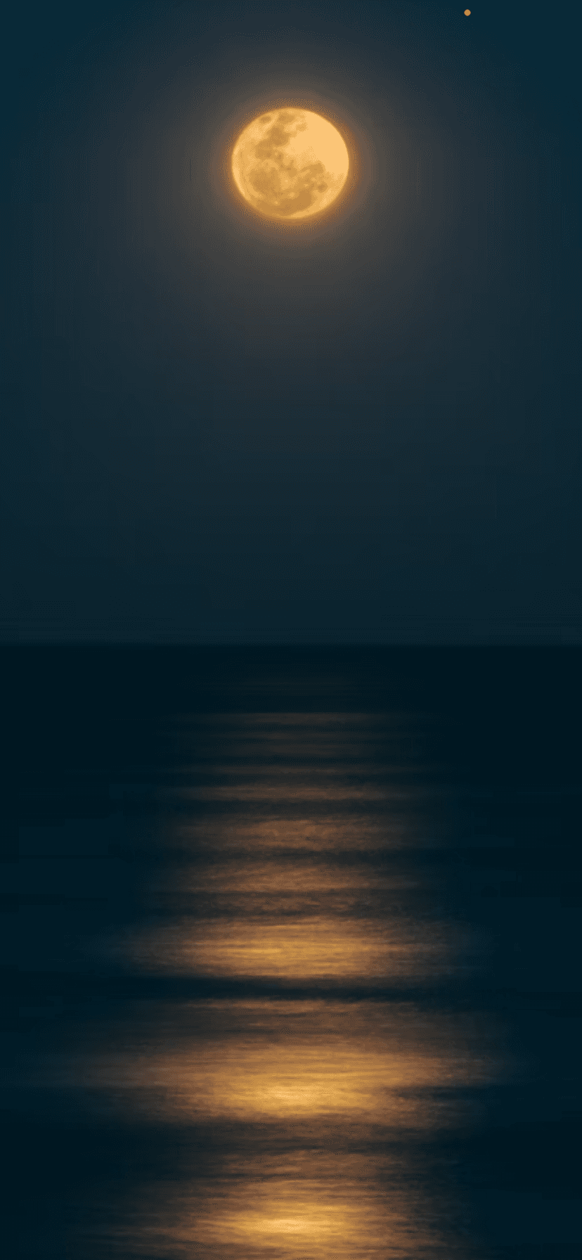 Experience the Full Moon Sauna Session at Sproat Lake Landing Resort