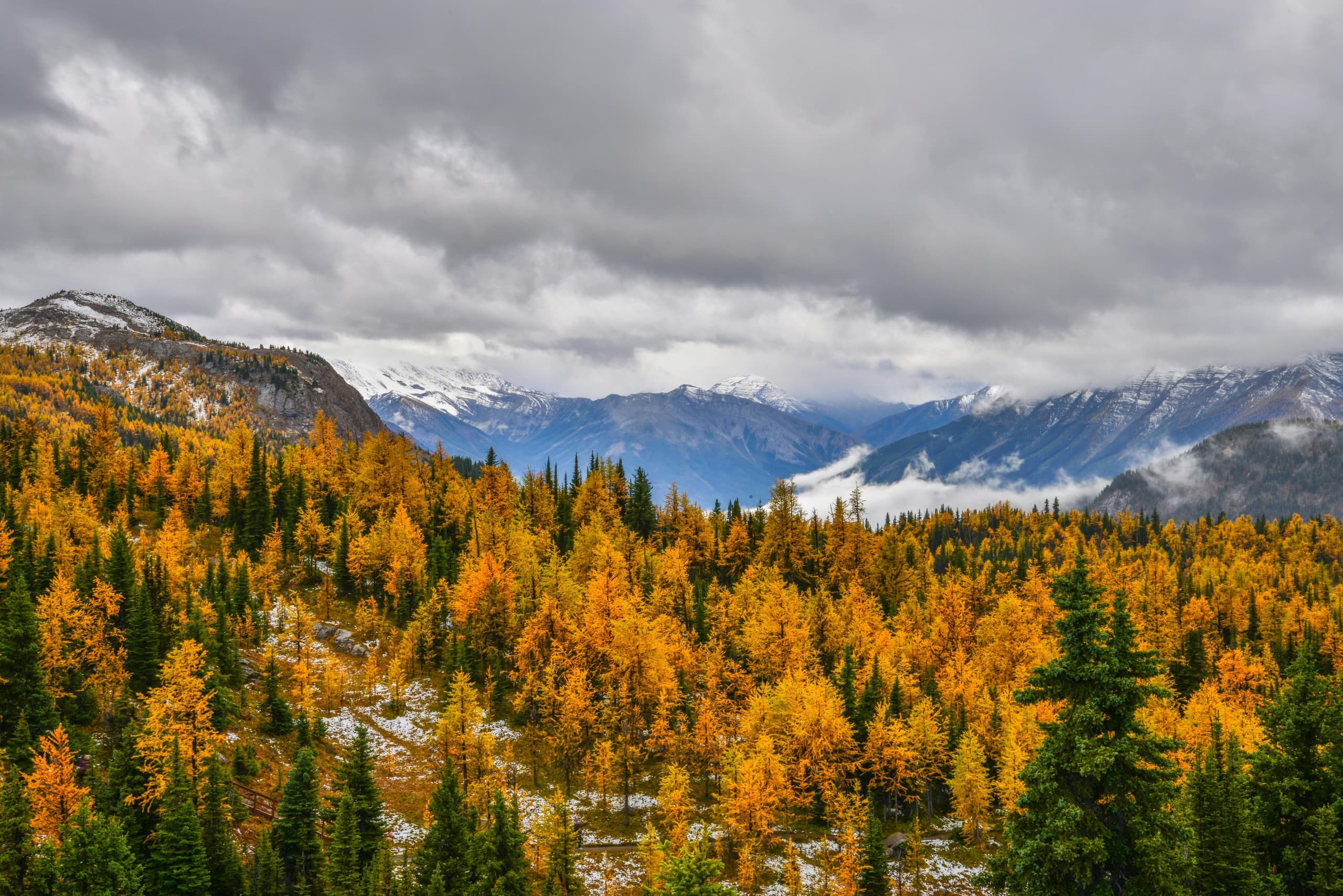 Four-Day Canadian Rockies Explorer: Icefields Parkway, Lake Louise & Jasper