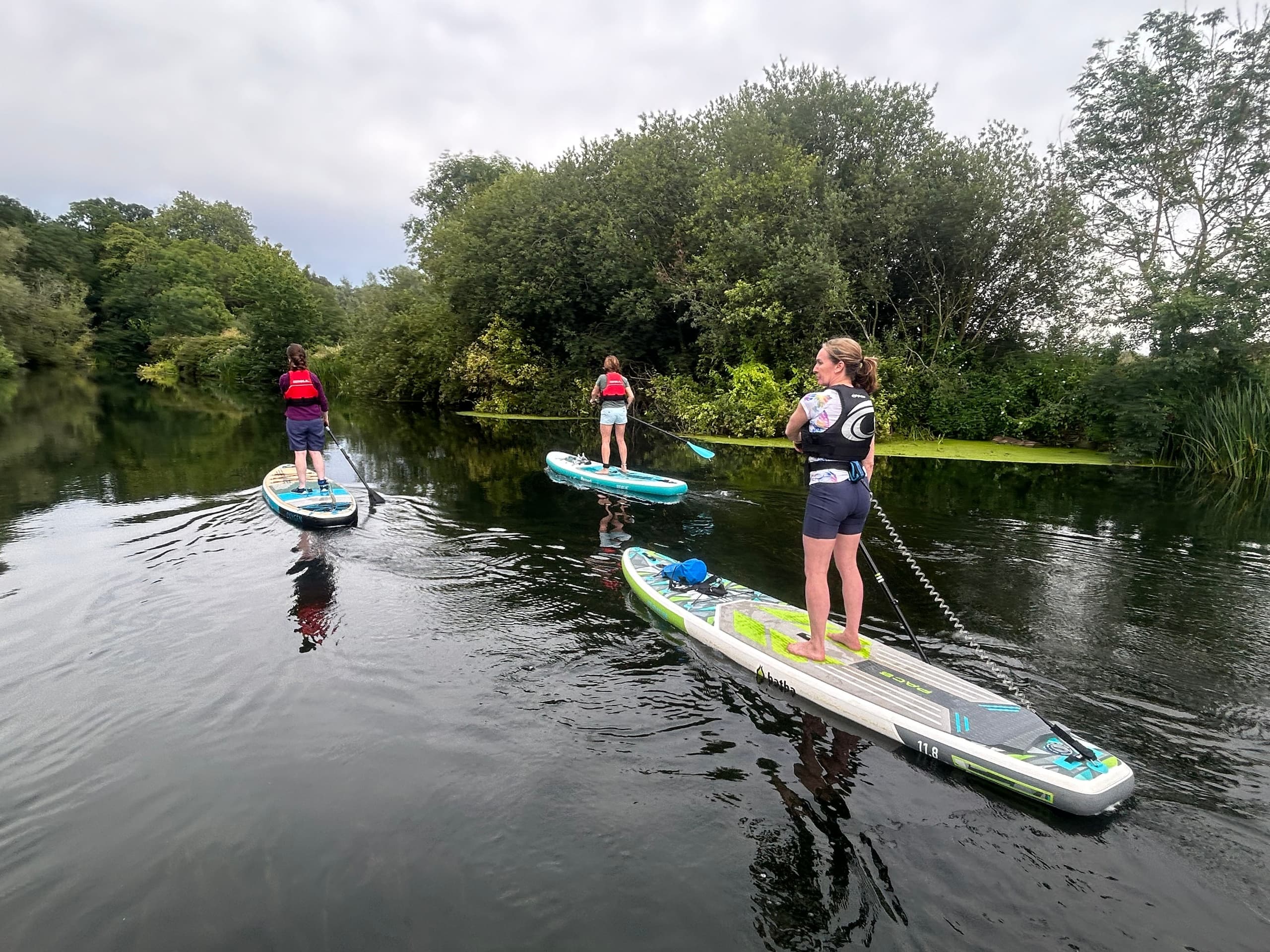 People paddleboarding in a line on a scenic river with trees