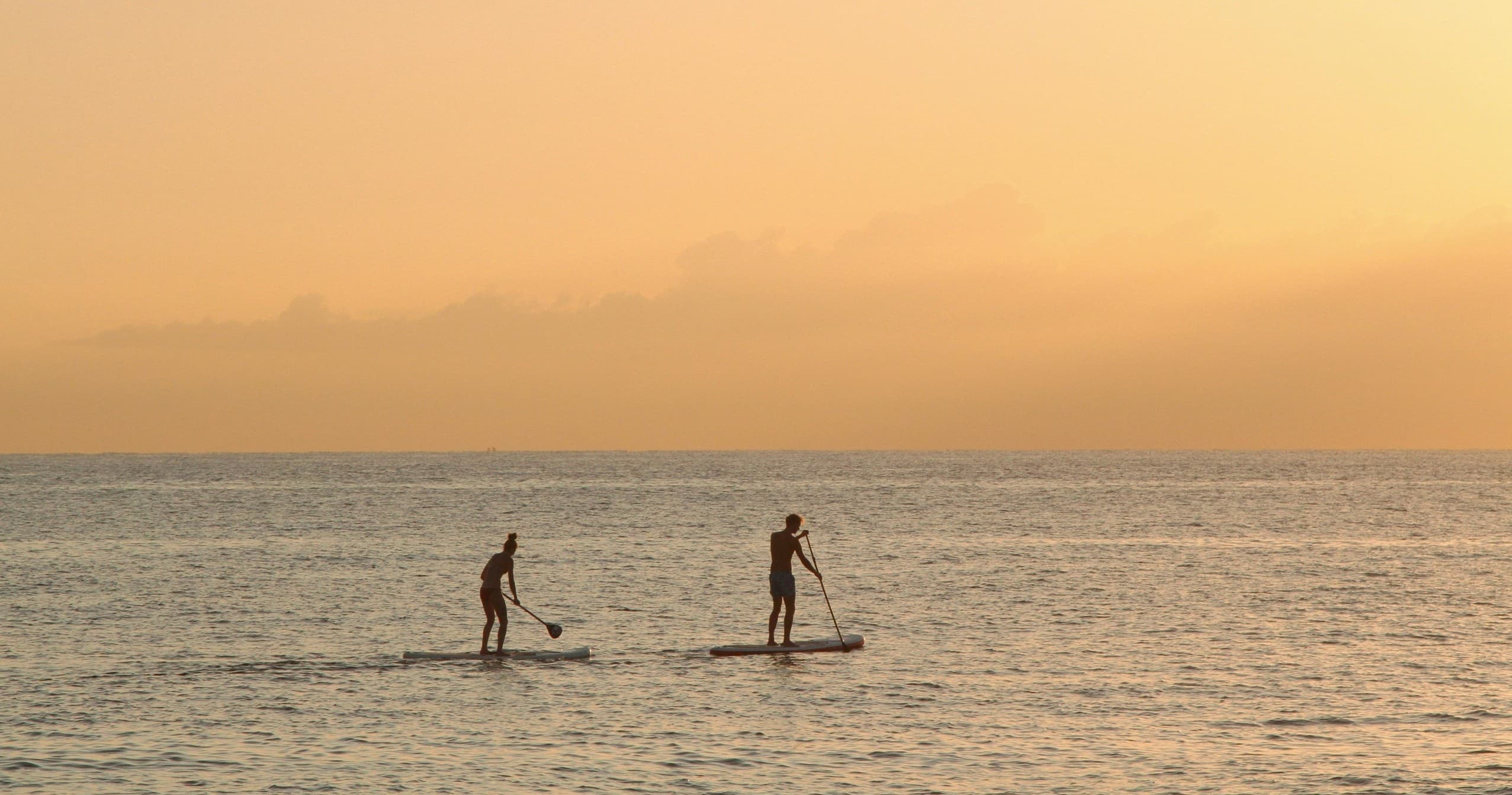 Stand-up paddleboarders at sunset on calm ocean near horizon