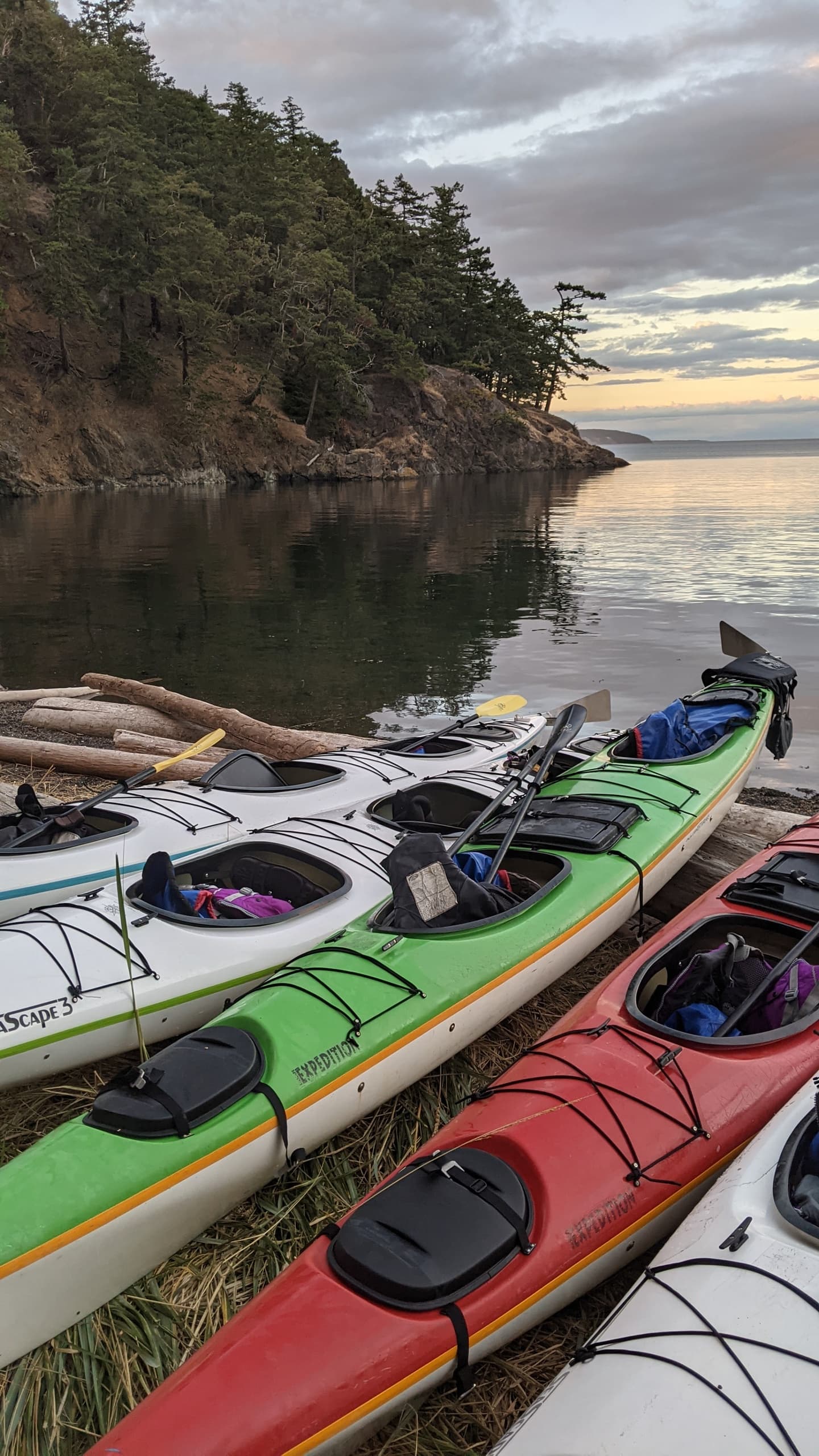 Forage Seattle fleet