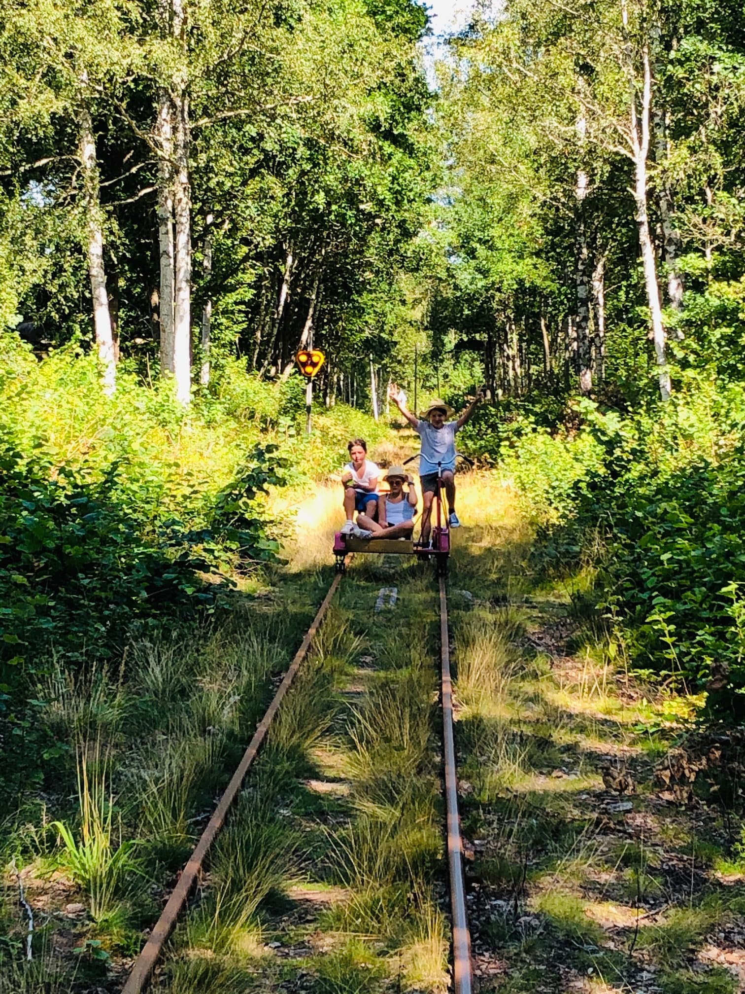 Family railbiking through sunlit forest on overgrown narrow tracks