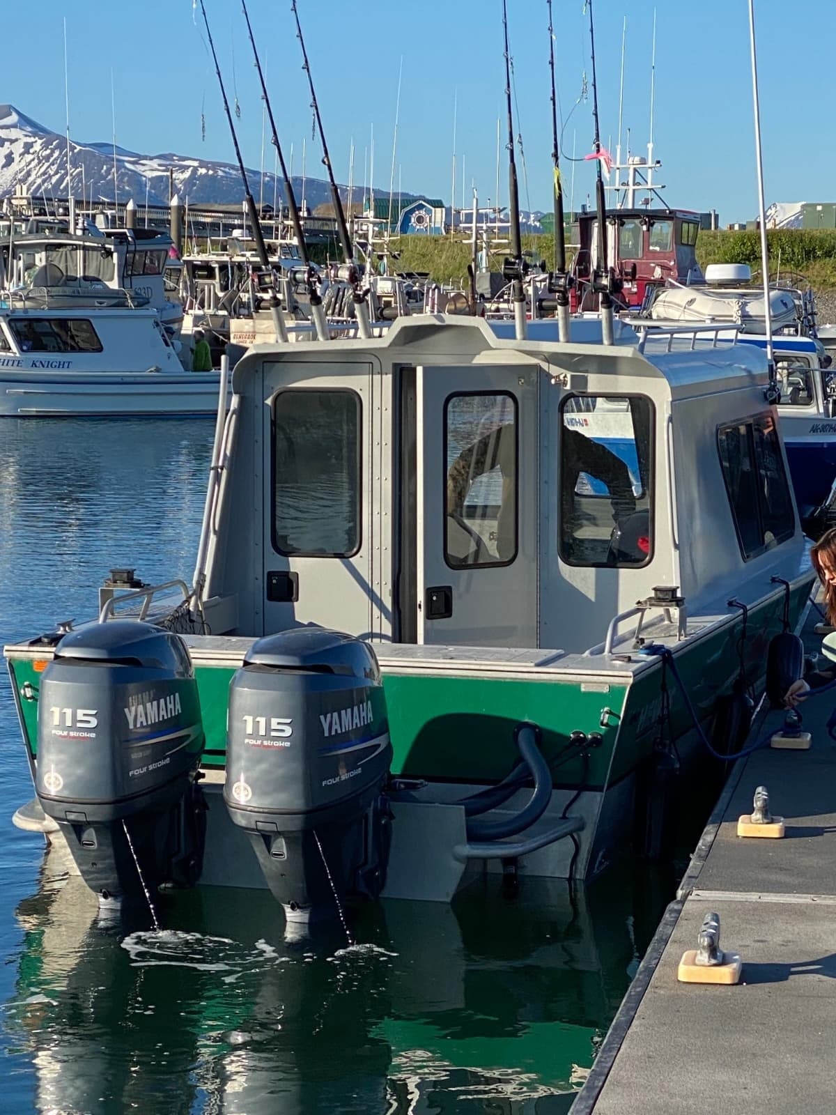 Private Resurrection Bay Half-Day: Whale Watching, Fjords & Puffins photo 2