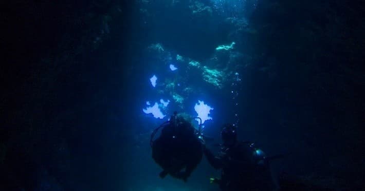 Scuba Diving Lanai’s Cathedrals with Maui Diamond Sea Sports