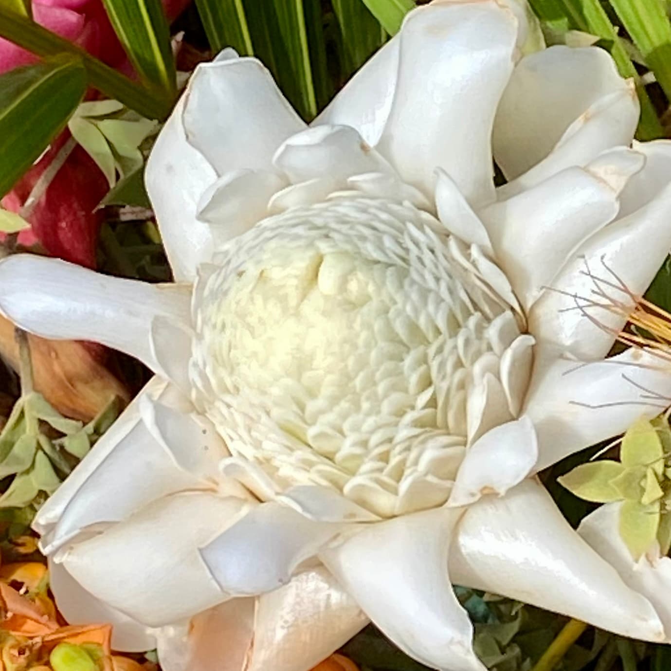 Healing Journey with Spirit of Kauai in Kapaa, Hawaii